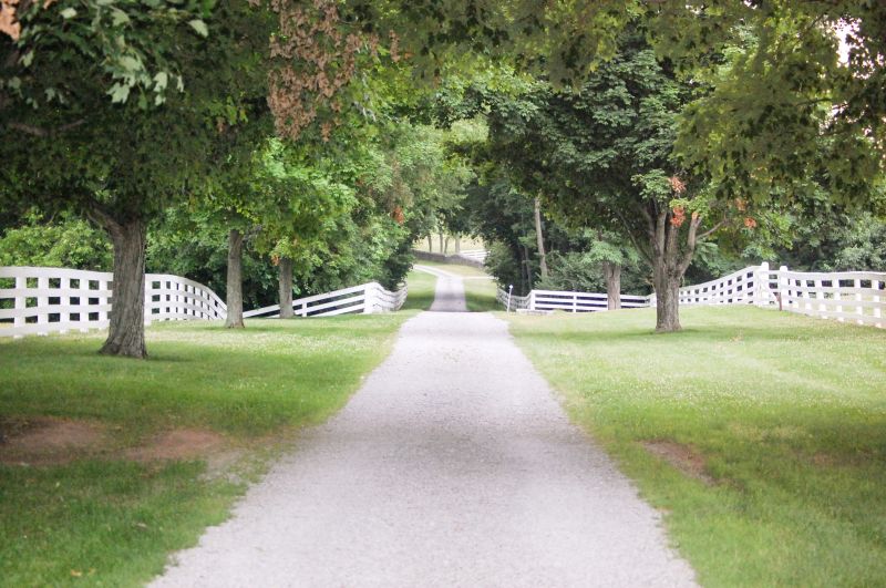 Gravel Driveway Rut Repair