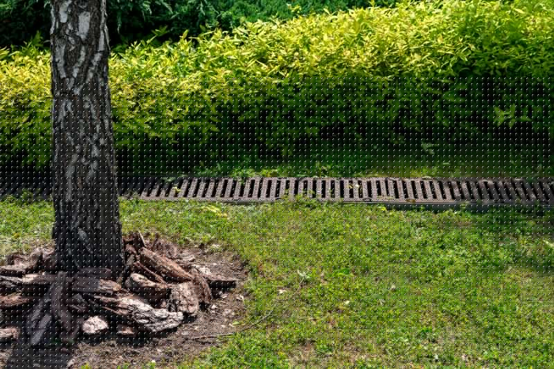 Yard Water Redirection