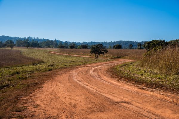 Dirt Driveway Repair in Jacksonville