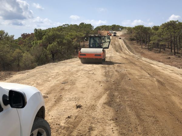 Cost of Driveway Grading in Jacksonville