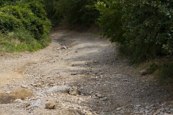 Gravel Road Pothole Repair in Jacksonville
