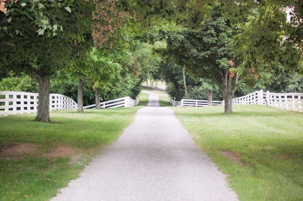 Gravel Driveway Construction in Jacksonville