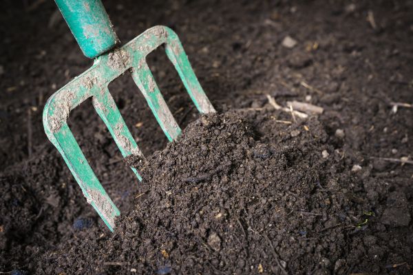 Cost of Topsoil Spreading in Jacksonville