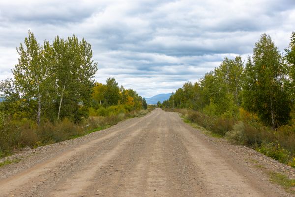 Dirt Road Repair in Jacksonville