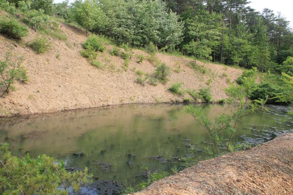 Cost of Pond Erosion Repair in Jacksonville