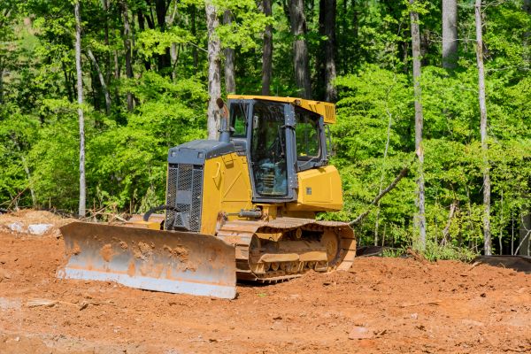 Cost of Lawn Flattening in Jacksonville
