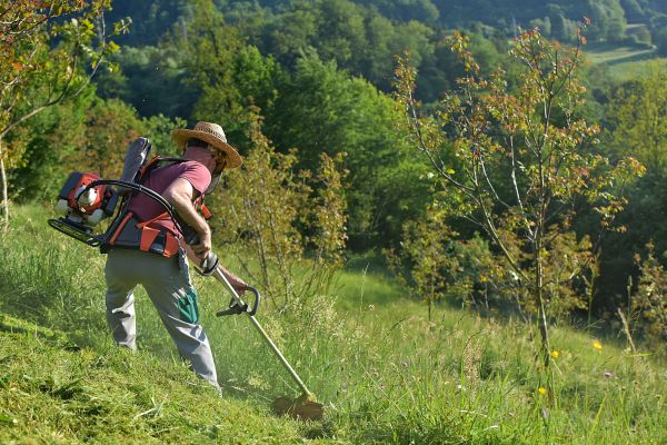 Cost of Slope Trimming in Jacksonville